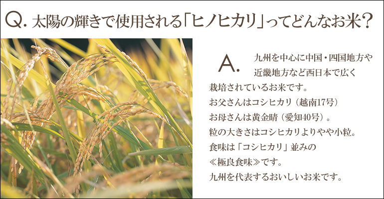 太陽光輝仙貝 甘甜醬油風味 (9入)