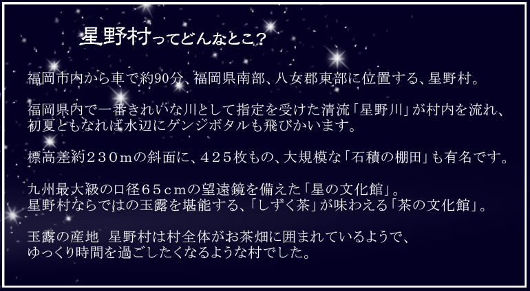 星野村玉露綠茶 ( 瓶裝 490mL )說明
