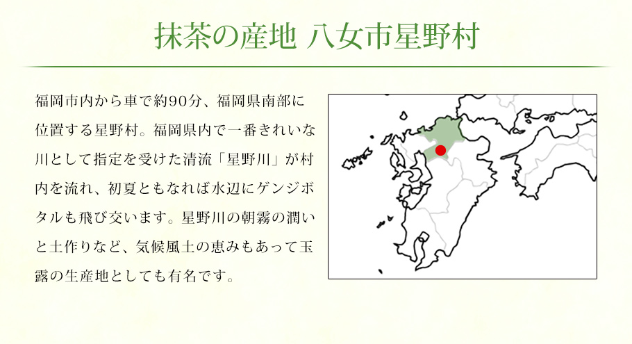 濃厚抹茶冰棒