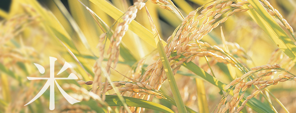 吉仙餅（もち吉 Mochikichi）品牌工廠展示