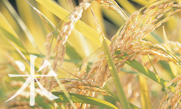 吉仙餅（もち吉 Mochikichi）日本米菓工廠製作情景